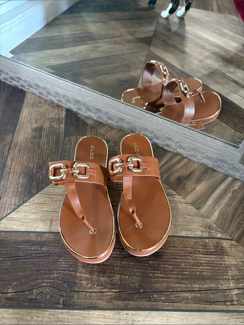 ALDO Brown Leather Thong Sandals with Gold Chain Accent